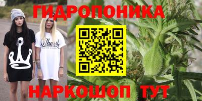 стафф Балашиха