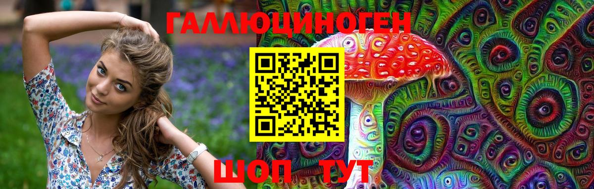 Галлюциногенные грибы Psilocybine cubensis Джанкой